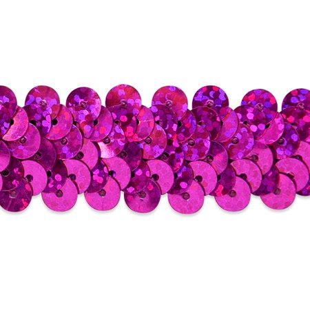 UPC 730484455057 product image for Expo Int l 2 Row Starlight Hologram Sequin Stretch Trim (7/8 ) by the yard (Sold | upcitemdb.com
