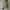 Army Green, variant on HOMBOM Y2k Tops Summer Casual White Short Sleeve V-Neck Solid Cotton Linen Button-Down Shirts S