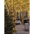 thumbnail image 4 of Guirnalda de luces para exteriores Twinkle Star, paquete de 2 unidades, 10 m, 100 LED, 4 of 7