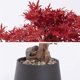 thumbnail image 3 of Árbol de bonsái artificial en maceta, plantas de pino en maceta de imitación, árbol artificial de hoja, bonsái de arce rojo, decoración de escritorio Zen for interior, hogar y oficina, 3 of 4