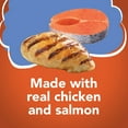thumbnail image 4 of Friskies Shreds Chicken & Salmon Dinner in Gravy Wet Cat Food, 5.5 OZ, 12 Count, 4 of 6