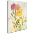 thumbnail image 2 of Trademark Fine Art "Wildflowers Against the Sky" Canvas Art by Sheila Golden, 2 of 3
