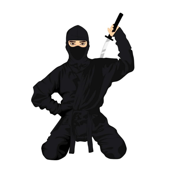 ANIME - Home Living Room Art Decoration Multicolored Anime Art Design Vinyl Wall Decal - Kids Bedroom Karate Martial Arts Gym Samurai Adhesive Décor Wall Sticker 21" x 30"