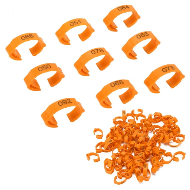 BANDAS PARAS DE POLLO, 100 UNIDADES, HEBILLA DE IDENTIFIONA PARAS, BANDAS Para Pato, Correa para Pollo, Anillos para Patas de Aves de Corral Con