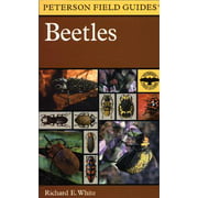 Peterson Field Guides (Paperback): A Field Guide to the Beetles : Of North America (Series #29) (Paperback)