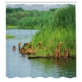 thumbnail image 2 of Ambesonne Oasis Shower Curtain, Camels in Lake Scenery Print, 69"Wx75"L, Lime Green Blue Grey, 2 of 4