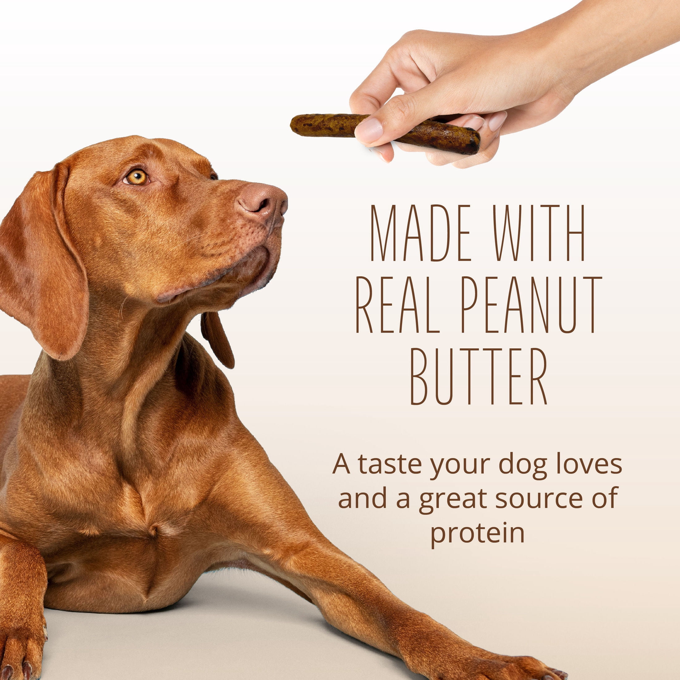 Better Belly Small Rolls Chew with Real Chicken & Peanut Butter, Highly Digestible Dog Treat, 6 Count