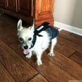 thumbnail image 6 of Barkertime Denim on Black Escape-Proof Premium Waterproof Dog Diaper Overall - Made in USA, 6 of 10