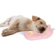 thumbnail image 5 of Almohada con forma de Animal de cerdo de dibujos animados, almohadas para dormir para perros y gatos, para protección de la columna Cervical, 5 of 12