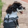 thumbnail image 2 of Lucoss Winter Dog Coat with integrated harness No Pull Cold Weather Waterproof Warm Fleece Back Zipper for Small & Medium Dog, 2 of 5