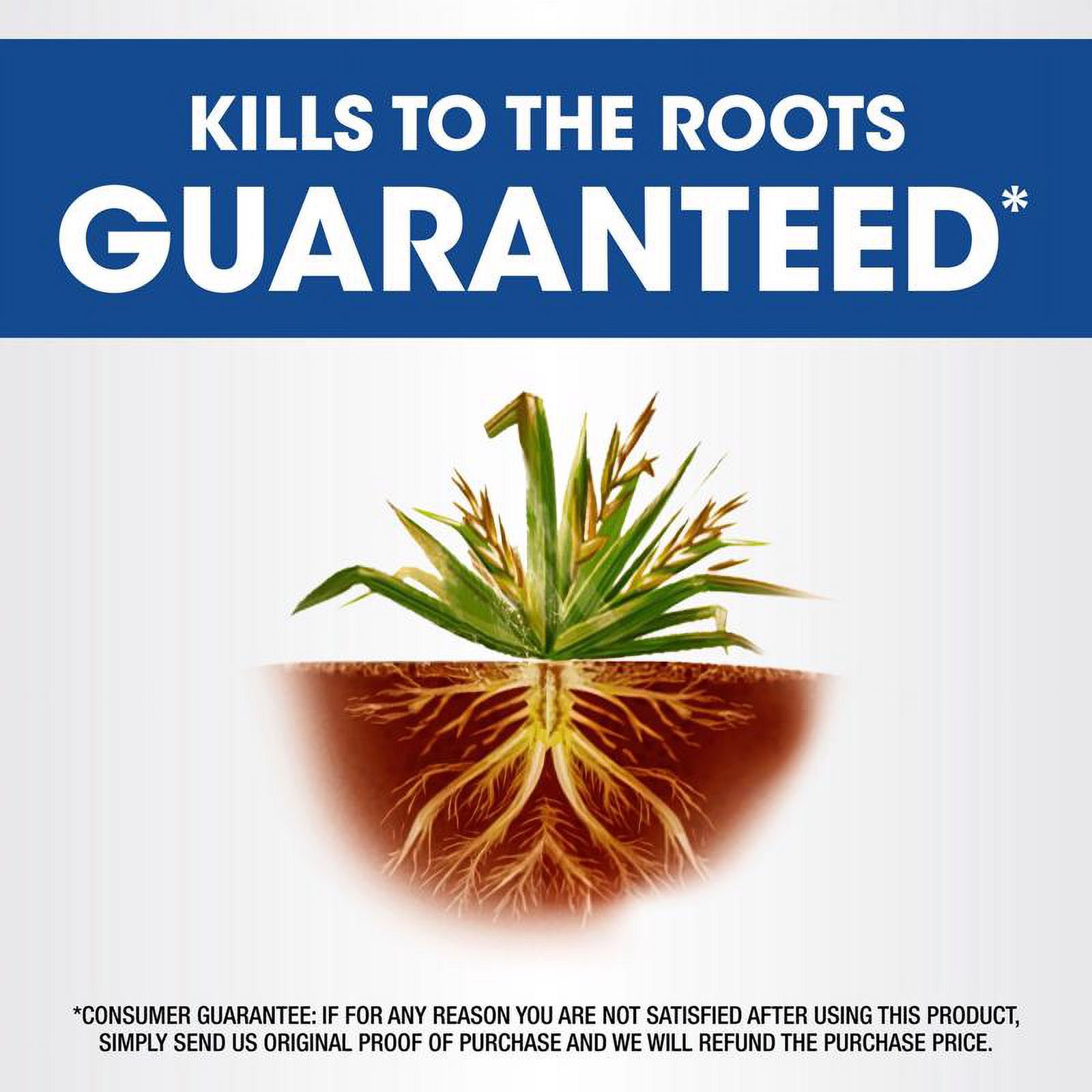 Roundup Weed & Grass Killer₄ with Sure Shot Wand, Use In Flower Beds and More, 1 gal.