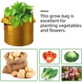 thumbnail image 6 of 7 Gallon Nonwoven Fabric Planter Bags, Brown - 12 Pack, Thickened, Breathable, , Drainage, Handles, Vegetable/Flower//Fruit Outdoor Usage, 6 of 6