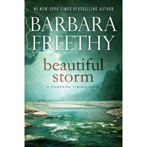 Beautiful Storm (Hardcover) by Barbara Freethy