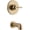 Champagne Bronze, variant on Delta Trinsic MonitorÃÂ® 14 Series Tub Trim in Chrome