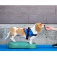 thumbnail image 3 of FitPAWSÂ® K9FITbone CanineGymÂ® Dog Balance Training Platform â€“ Regular, Aqua Blue, 3 of 5
