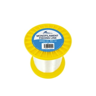 BLUEWING Monofilament Fishing Line Clear Fishing String Mono Fishing Line,  Dia.0.55mm*500YD*40LB 