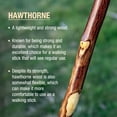 thumbnail image 5 of Brazos Free Form Hawthorn Wood Walking Stick 48 Inch Height, 5 of 10