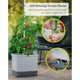 thumbnail image 2 of Plantadora vertical de tomates BUZZY Seeds Tom Tomato con espaldera, 2 of 9
