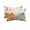 Beige, variant on Pack of 2 Outdoor Lumbar Pillow Covers 11x16 Inch, Vintage Pumpkin Fall Waterproof Throw Pillow Covers Set, Thanksgiving Weeping Maple Leaves Decorative Cushion Cases for Patio Porch Car