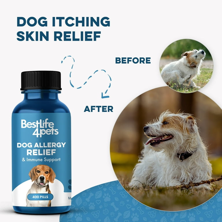 Allergic Reaction Best Dog For For Allergies Allergic Reactions