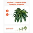 thumbnail image 4 of VEVOR 2 Pcs Artificial Boston Ferns Plastic Fern 35 Branches Indoor Outdoor Decor, 4 of 9