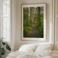 thumbnail image 6 of Marsh Edge Trail, Blackwater National Wildlife Refuge 02 - Maryland Photography Forest Nature Landscape Scenic Botanical Rural Unframed Wall Art Print 36 x 48 inches, 6 of 13
