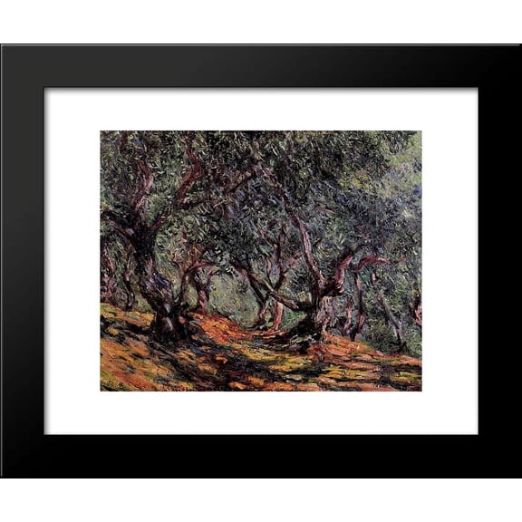 Olive Trees in Bordigher 20x24 Framed Art Print by Monet, Claude