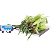 Brecknell Portable Shipping Scale - 400 Lb / 181 Kg Maximum Weight Capacity - Stainless Steel - White (lps400_35)