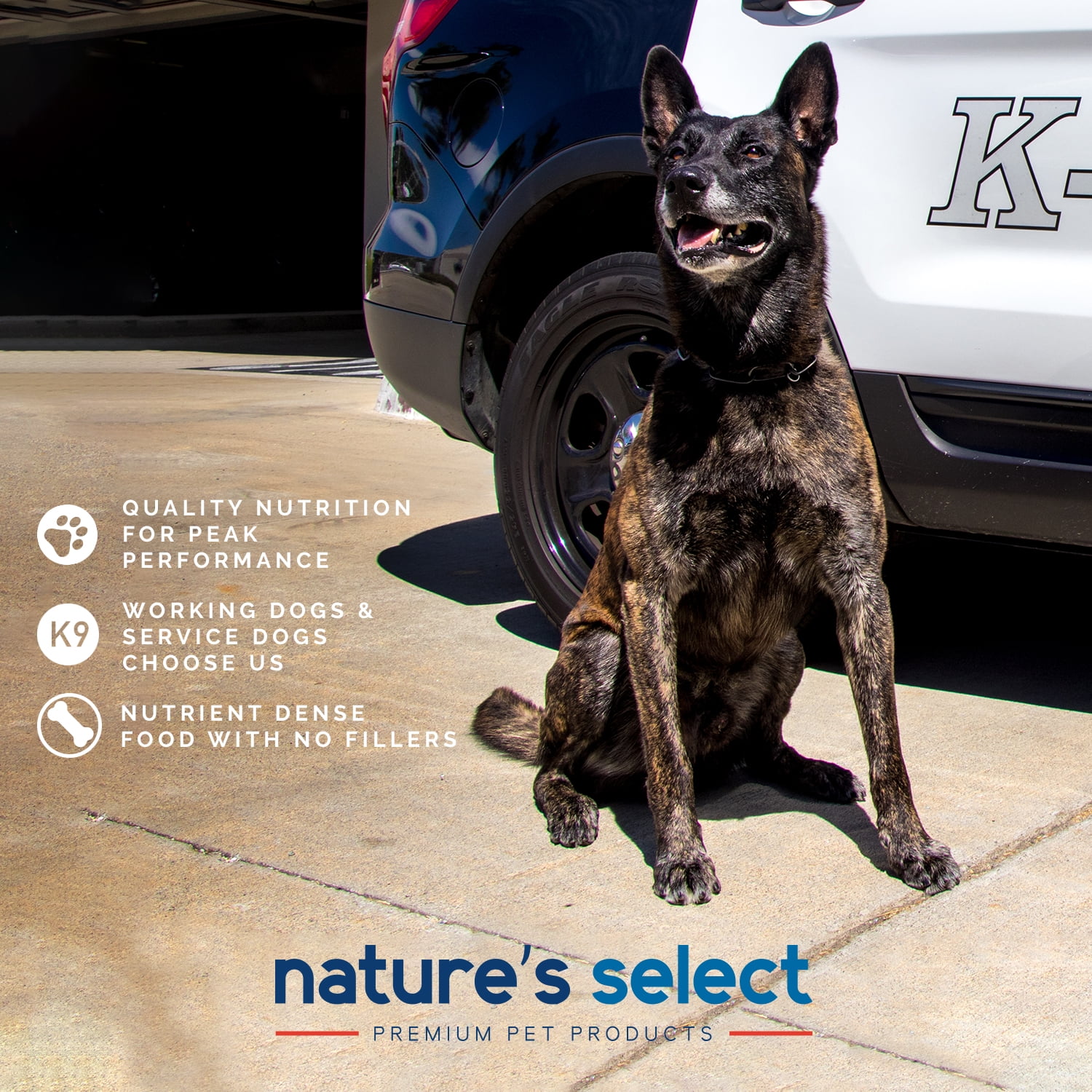 Nature's Select - Lamb & Rice Formula Paté - Canned Food for Dogs (Case of 12)