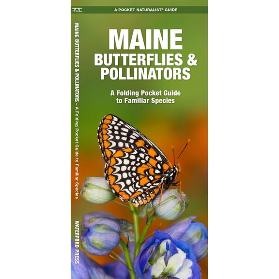 All I Need Is My BELGIAN TERVUREN : Gifts For Belgian Tervuren Dog Lovers - 116 Pages, 6 x 9, Matte Finish (Paperback)