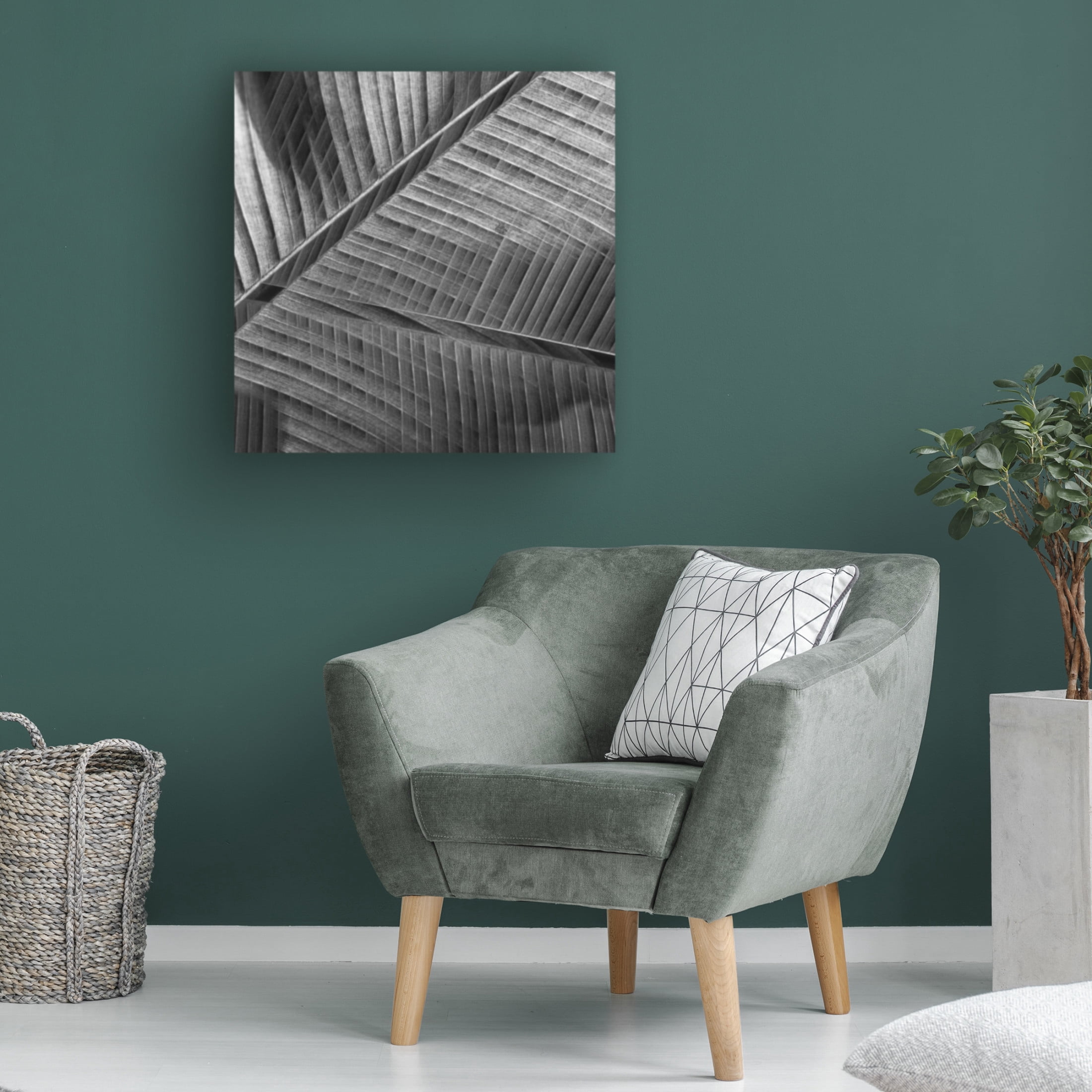 Trademark Fine Art Simon JG Ciappara Banana Lattice. Canvas Wall Art