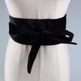 thumbnail image 3 of Cinturón de Cintura Ancho de Moda para Mujer para Mujer Acceso Al Vestido Bowknot Hebilla Cinturón de Cintura Negro Baoblaze Cinturón de cintura, 3 of 8
