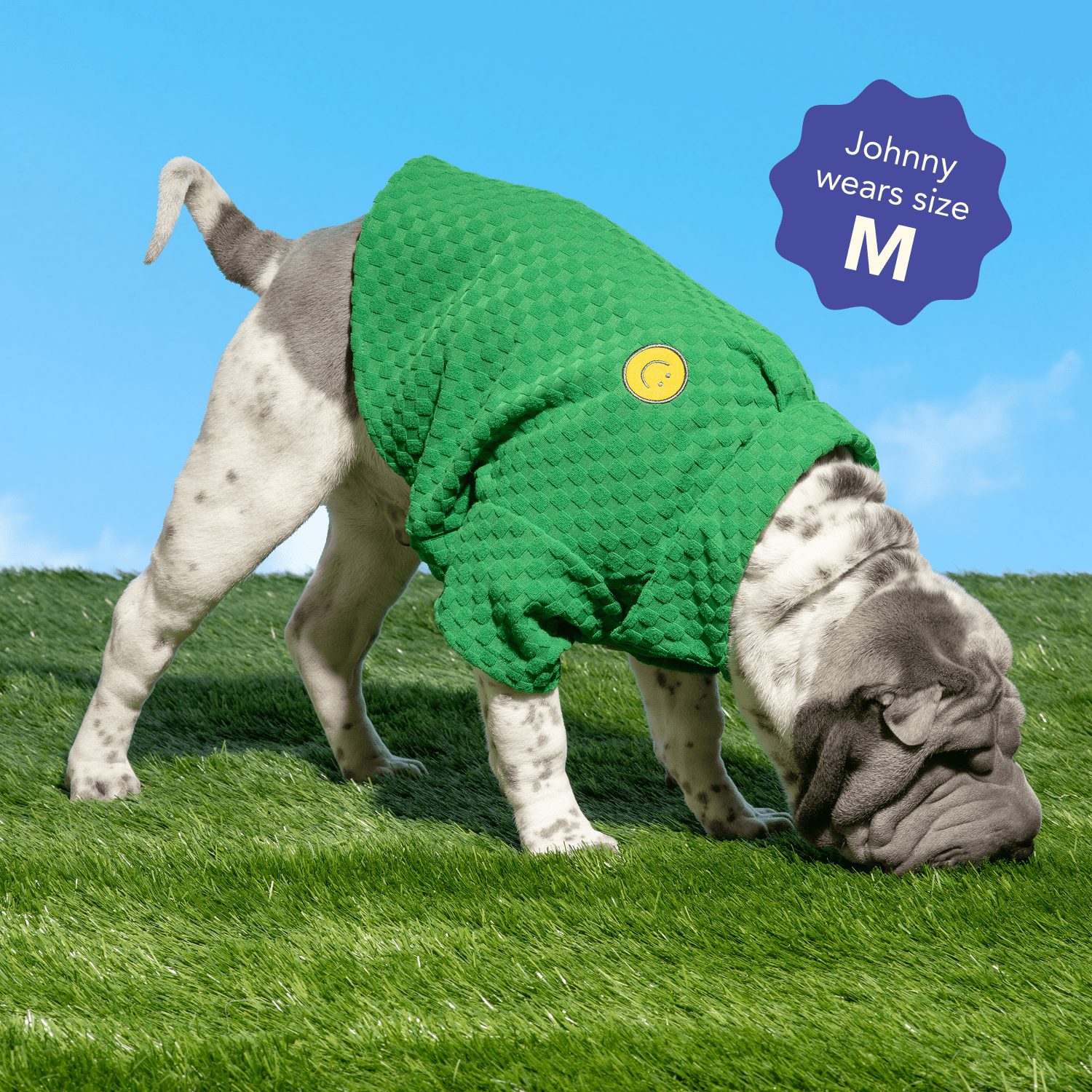 Oodles Green Boxy Button-Up Checkered Spring Dog T-Shirt, XS