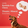 thumbnail image 4 of DreamBone Classic Bone Mini Rawhide-Free Chews for Dogs, Made with Real Chicken, 20 Count, 4 of 9