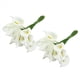 thumbnail image 2 of 96Pcs Mini Calla Ramo de Flores Artificiales Decoración de la Boda DIY Guirnalda Regalo, 2 of 6