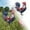 D, variant on Patio & Garden Outdoor Decor Patriotic American Flag Rooster Yard Stake 4th of July Acrylic Garden Sign with Ground Spike Red White Blue Rooster Decorative Stake for Lawn Patio Independence Day