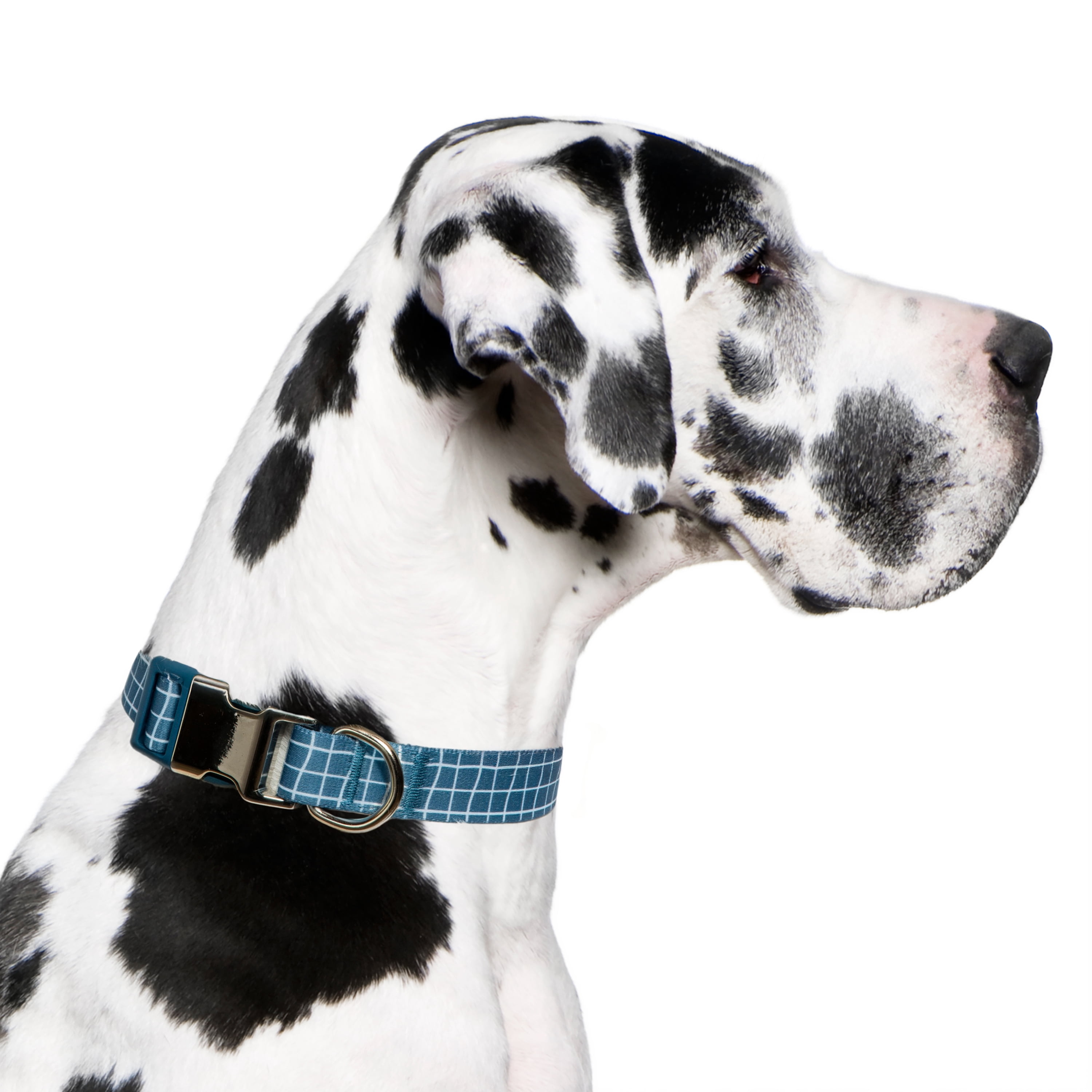 Vibrant Life Plaid Fashion Dog Collar, Blue, XL