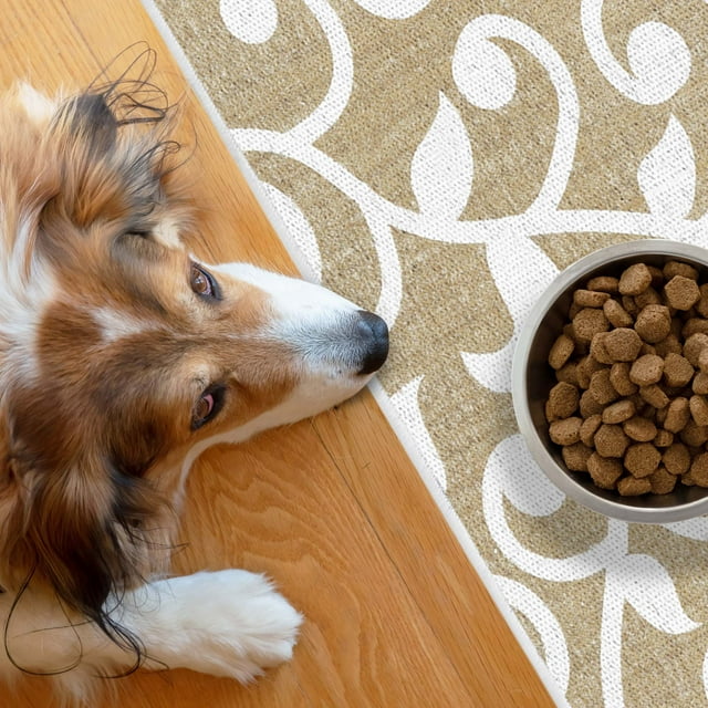 SussexHome Pets Ultra-Thin Cat and Dog Litter Mat for Litter Box - Washable Soft Natural Cotton Cat and Dog Litter Trapping Mat - Paws-Kind Slip Resistant Litter Catching Mat