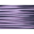 thumbnail image 1 of Ahgly Company Tapis d'Intérieur Rectangulaire Transitionnel Lavable à la Machine, Lilas Vif Violet, 2 Pieds x 5 Pieds, 1 of 7