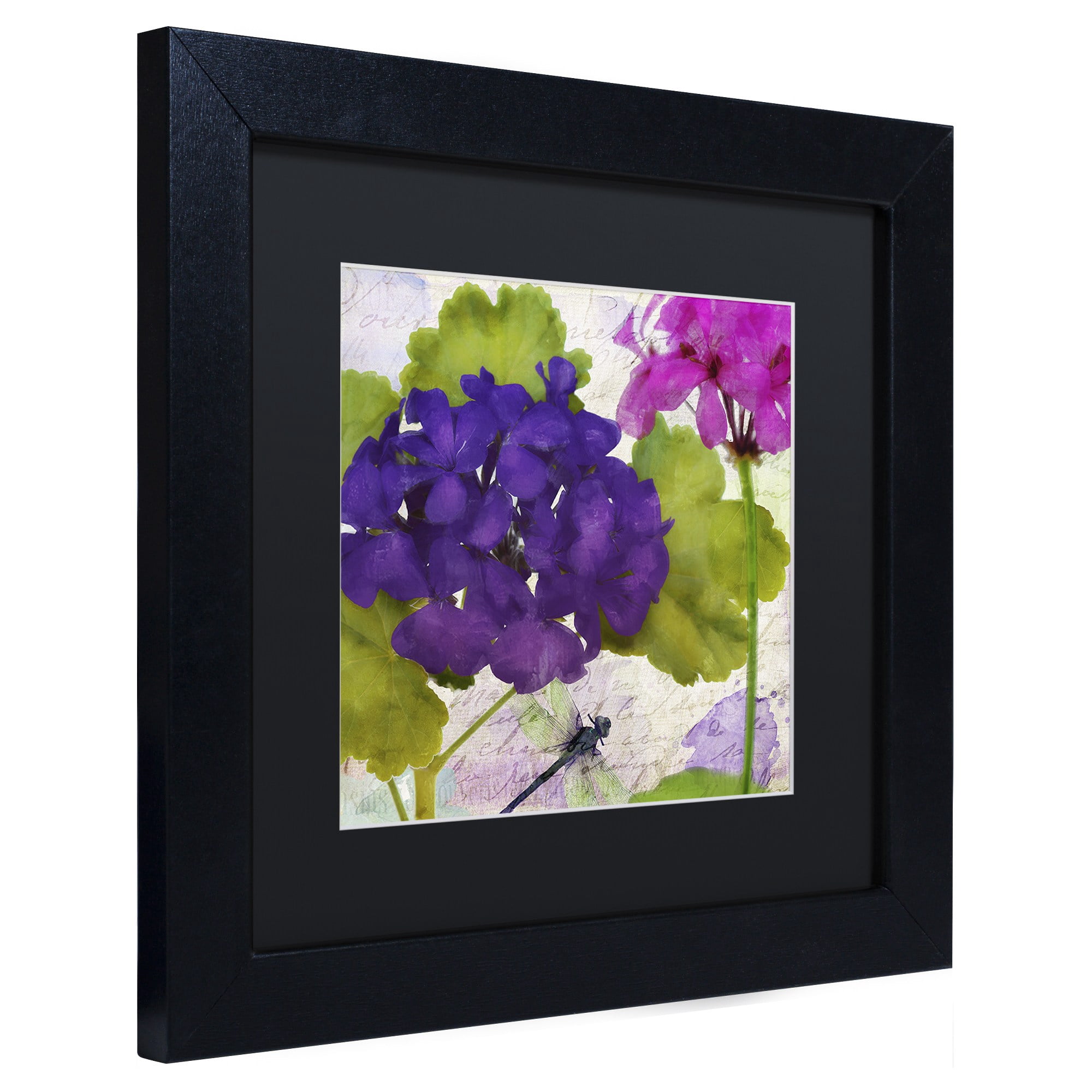 Trademark Fine Art "Gaia I" Canvas Art by Color Bakery, Black Matte, Black Frame