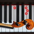 thumbnail image 5 of Milisten 90Set Convenient Piano Washer Wool Red Piano Technicians Accessories for Tuning, 5 of 5
