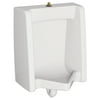 American Standard 6515.001 Washbrook Wall Hung Urinal Fixture Only - White