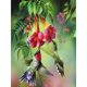 thumbnail image 1 of (30X40) DW-248 diamante completo pájaro sosteniendo flor animal serie cuadrado diamante resina diamante pintura DW06368 Tmvgtek Oficina Multiescena Multifunción, 1 of 9