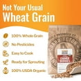 thumbnail image 3 of Grand Teton - Ancient Grains Emmer Wheat Berries, 100% Organic Berries, Premium Food-Grade Emmer Wheat Berries Organic, Farro for Milling, Sprouting, Baking, Salads, & Soups, 43 lbs, 3 of 5