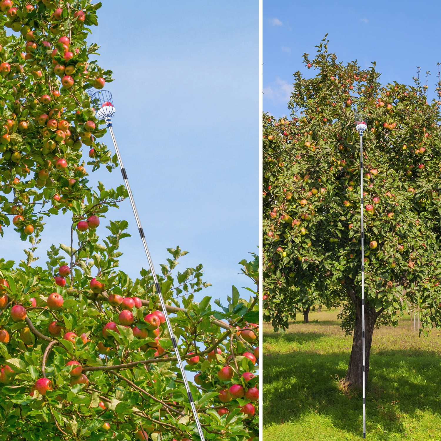 Cooltop Fruit Picker, 13 FT Picker Pole with Basket, Adjustable Fruit  Picker Tool with Stainless Steel Connecting Pole with Foam Pad, Metal Clamp