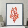 thumbnail image 2 of Coral Kelp II - Barnwood Framed - 23 x 31 - Grey, 2 of 4