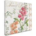 thumbnail image 2 of Trademark Fine Art "Sweet Pea" Canvas Art by Color Bakery, 2 of 3
