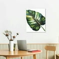 thumbnail image 3 of JEUXUS Green Plant Framed Wall Art Nature Wall Decor Boho Bathroom Pictures Tropical Botanical Leaves Canvas Painting Sage Monstera Leaf Minimalist Artwork for Living Room Bedroom Home, 3 of 5