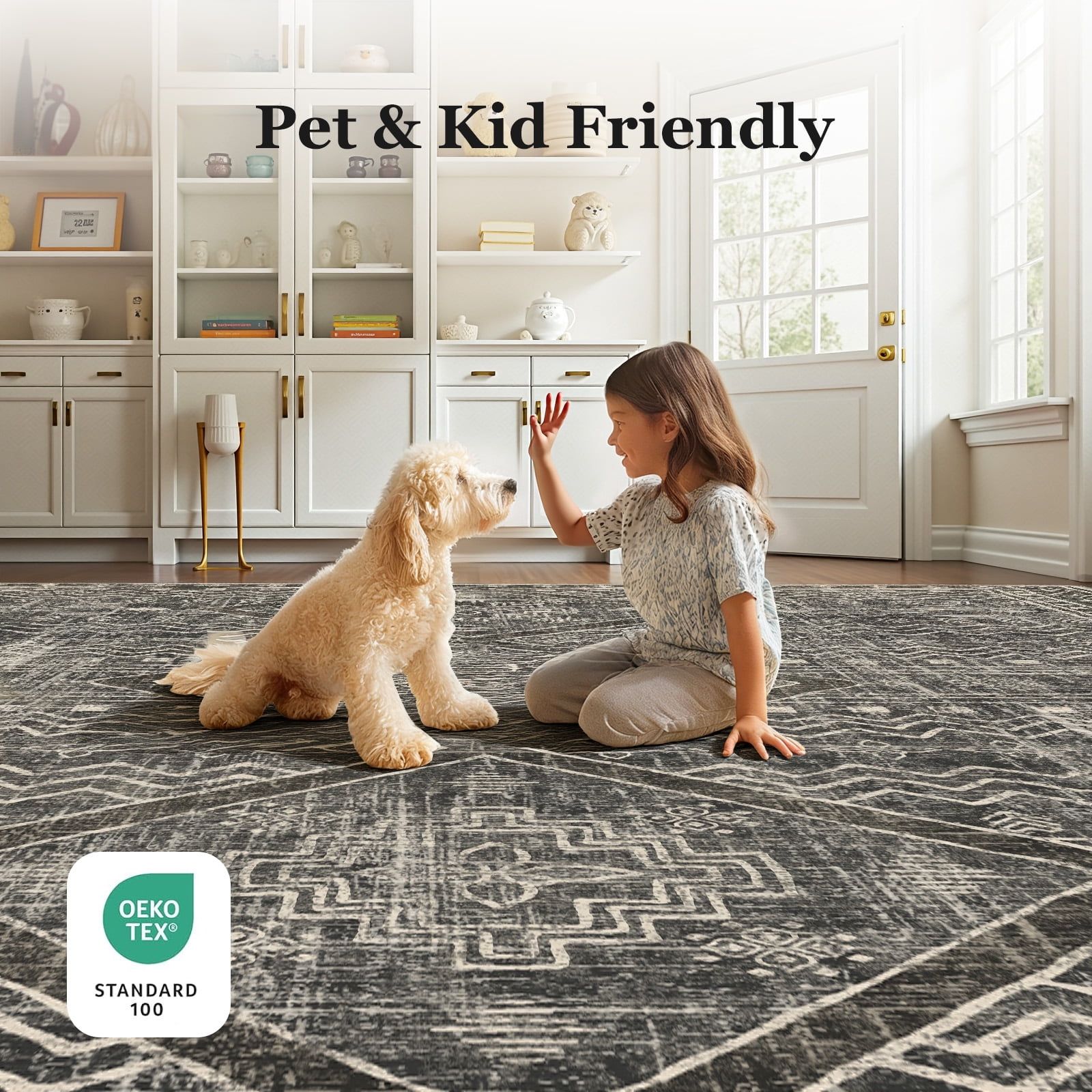 CHITOOMA 8'x10' Area Rugs for Living Room, Washable Boho Moroccan Rug Soft Vintage Distressed Geometric Tribal Area Rug for Bedroom Dining Room Office with Non-Slip Backing, Stain Resistant Non-Shed