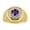Amethyst, variant on Men's Rings Yellow Gold Plated Silver Designer Gypsy 7MM Round Gemstone & Diamond Ring Amethyst February Size 9